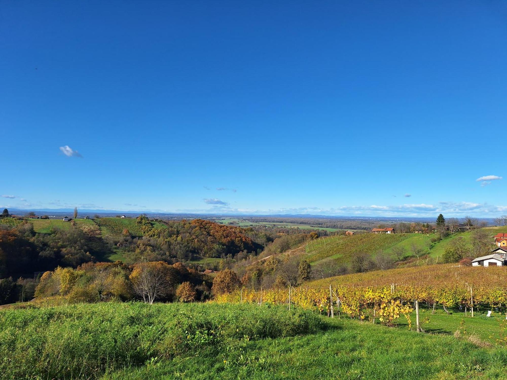 Kuca Za Odmor Kodba Vila Strigova Exterior foto